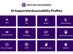 Accessibility dashboard profiles