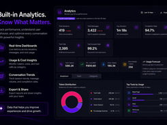 Built-in analytics — see conversation volume, detected languages, and usage trends from the AnveVoice dashboard.