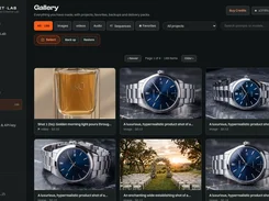 Asset Lab Gallery interface showing workspace navigation, media filters, project search, credit balance, and generated media cards.