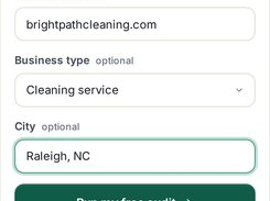 Assistly Audit my website form populated with a sample website address, cleaning-service business type, Raleigh, NC, and a Run my free audit button.
