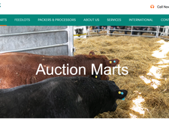 Auction Master Pro Screenshot 1