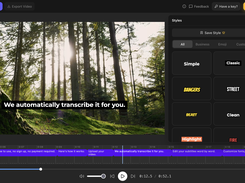 autosubtitles editor with style presets panel open