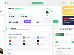 Morethanpanel User DashBoard