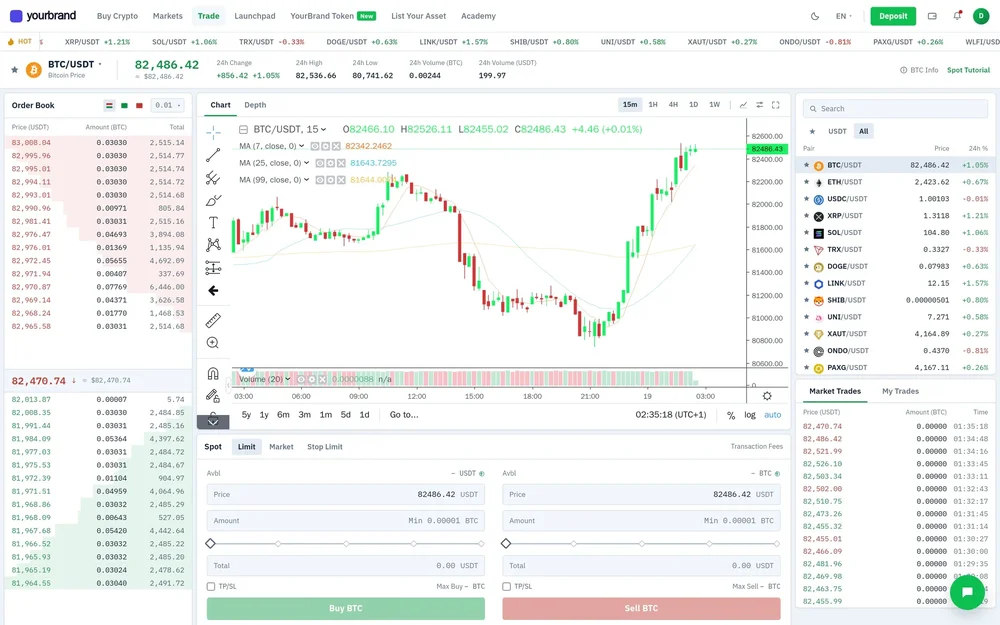 Web trading interface for BTC/USDT with candlestick chart, order book, market-pair list, recent trades, and buy/sell order forms.