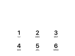 Communicator GO puts your business number on your mobile, with a full dial pad.