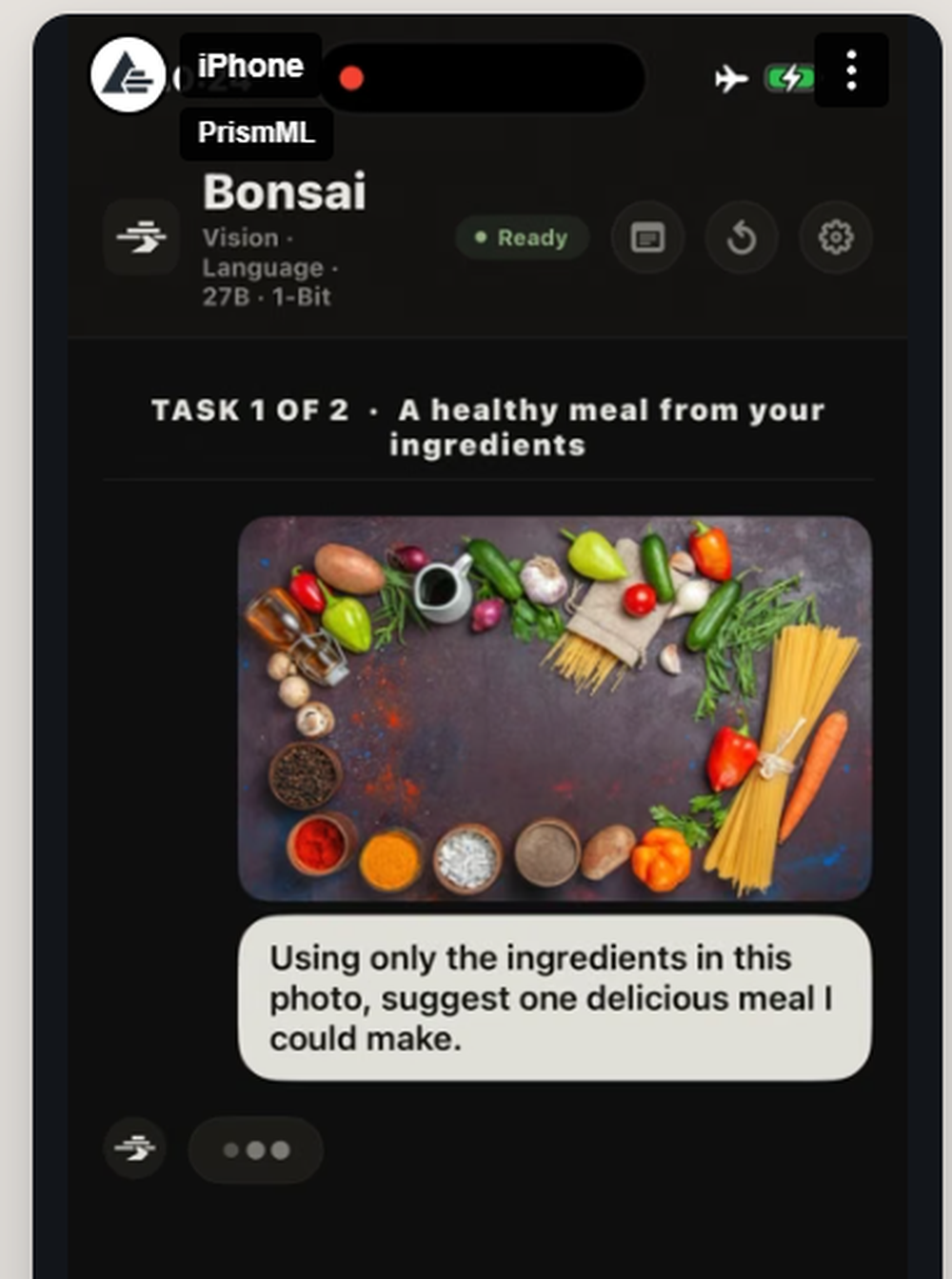Bonsai 27B Screenshot 1