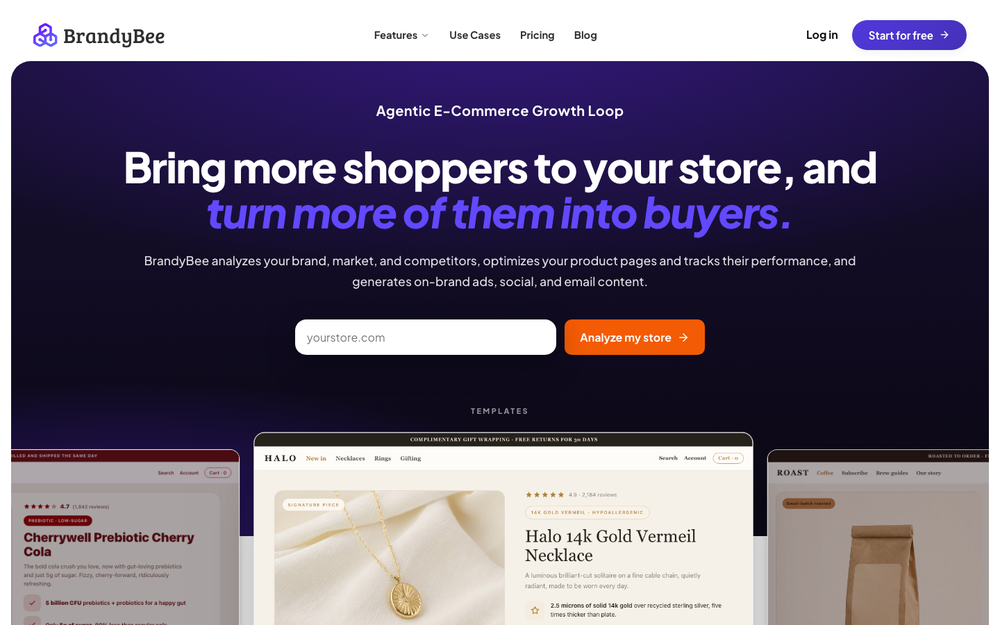 BrandyBee homepage: analyze a store, then fix the product pages that lose search visibility and sales