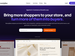BrandyBee homepage: analyze a store, then fix the product pages that lose search visibility and sales