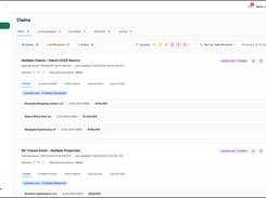 Brisc AI Screenshot 1