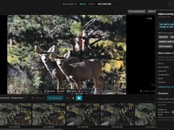 BurstPick Screenshot 1