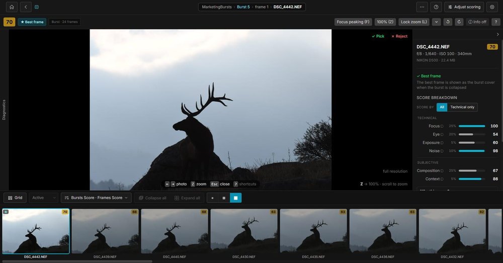 BurstPick Screenshot 1