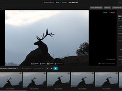BurstPick Screenshot 1