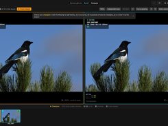 BurstPick Screenshot 1