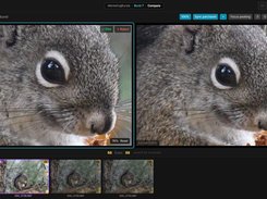 BurstPick Screenshot 1