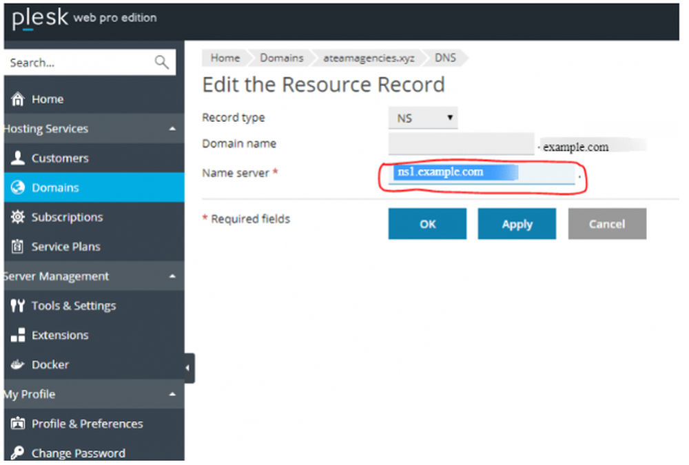Plesk Web Pro Edition form titled “Edit the Resource Record,” with an NS record type selected and a name-server field highlighted.