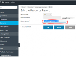 Plesk Web Pro Edition form titled “Edit the Resource Record,” with an NS record type selected and a name-server field highlighted.