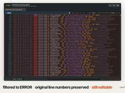 Filter shot: filtered to ERROR · original line numbers preserved · still editable