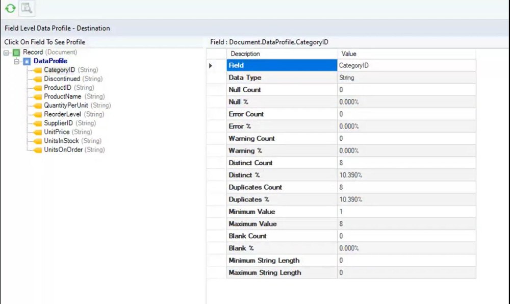 Data Profiling