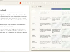 ChapterMuse writing workspace showing a chapter manuscript beside a multi-column plot grid.
