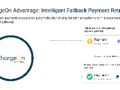 Instant and Scheduled Payments  Accept Salesforce payments instantly or schedule them for later using cards, ACH, e-check, or payment links.