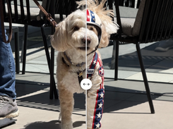 ChatGPT Images 2.5 Screenshot 1