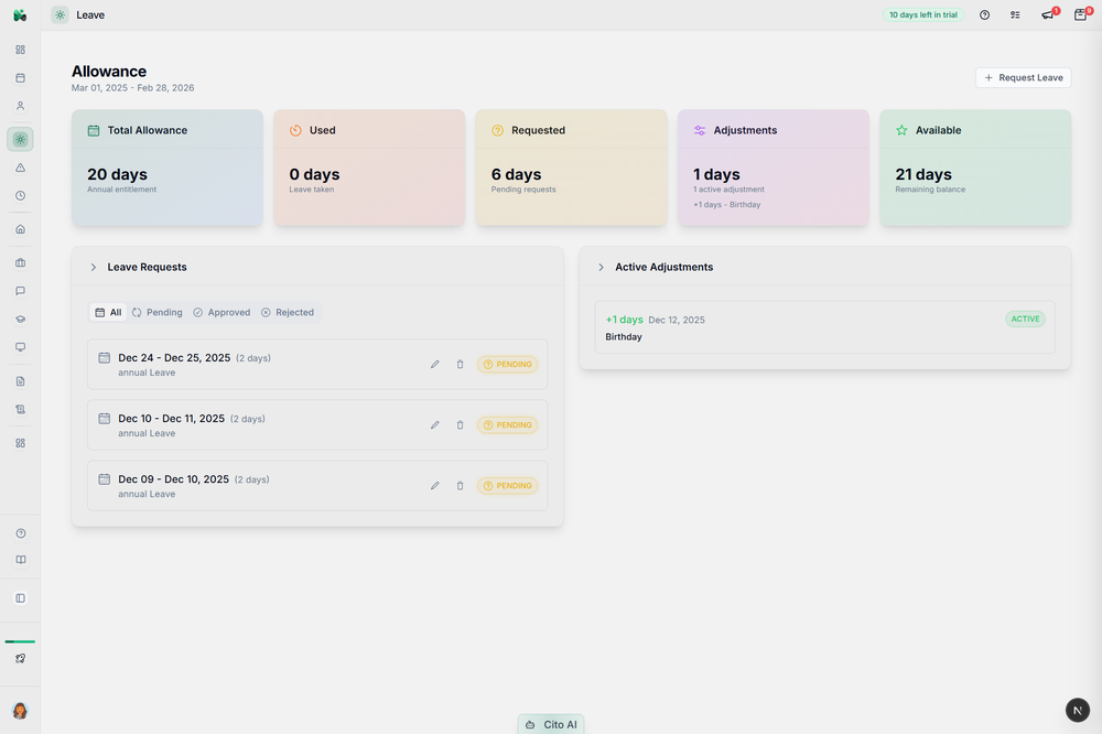 Light-theme leave allowance page showing entitlement, used days, requested days, adjustments, and leave requests.