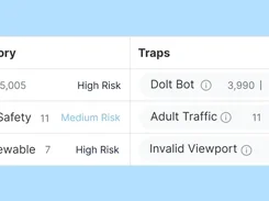 Dashboard table showing Categories and Traps, including Bots, BrandSafety, NonViewable, Dolt Bot, Adult Traffic, and Invalid Viewport risk entries.