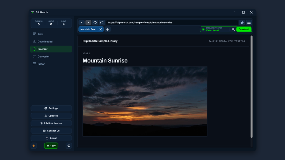Built-in browser: the detector box shows Video found