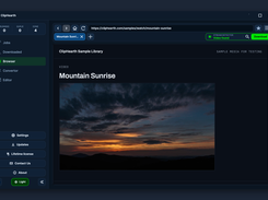 Built-in browser: the detector box shows Video found