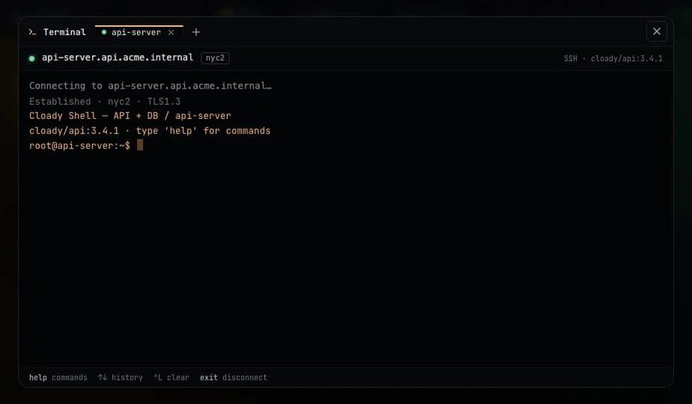 Dark-themed terminal window connected to api-server.api.acme.internal over SSH, showing a Cloady Shell API and database prompt.