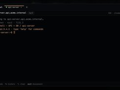 Dark-themed terminal window connected to api-server.api.acme.internal over SSH, showing a Cloady Shell API and database prompt.