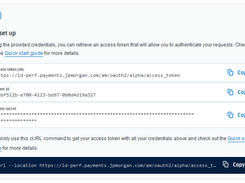 API setup panel showing token endpoint, client ID, masked secret, and cURL request.