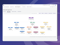 Entity Management - Visual ownership structure