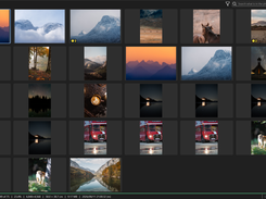 The whole folder at once, as a contact sheet