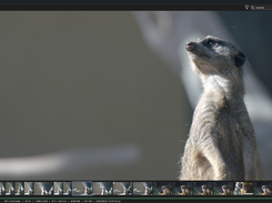 Search a shoot by what is in the pictures, on your own computer