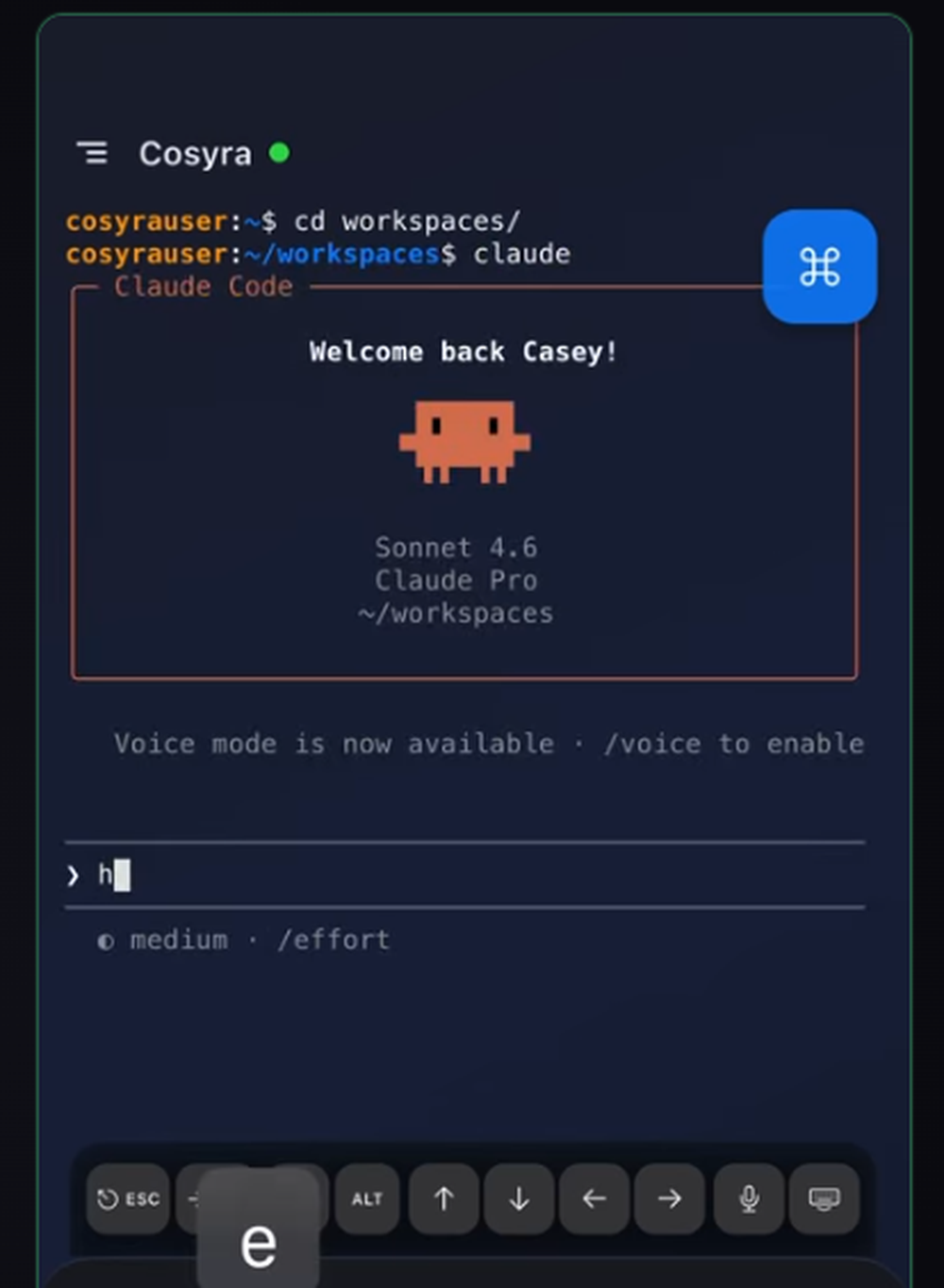 Cosyra Screenshot 1