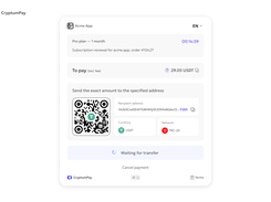 Payment page by link
