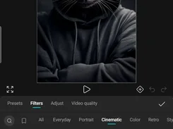 Cutpoeta filter editor displaying a hooded cat image and cinematic filter choices including Teal & Orange, Moody, and Cool Blue.