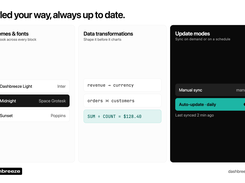 Set automatic data updates and share professional KPI dashboards and business reports with teams and clients.