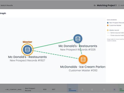 Entity graphs in DataMatch Enterprise show you how different entities are linked to each other