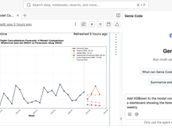 Databricks Genie Code Screenshot 1