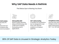 DataWise SAP Data Modernization