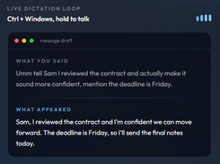 DictaFlow Screenshot 1