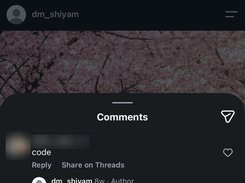 Dark-mode Instagram comments panel showing a comment reading “code” and an author reply stating that the code was sent in direct messages.