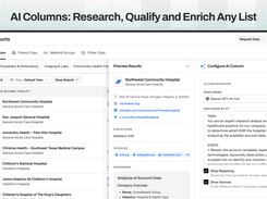 AI Columns: Research, Qualify and Enrich Any List
