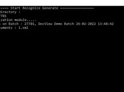 Command-line window logging DocView batch OCR document processing.