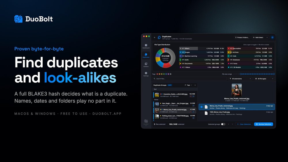 Duplicates decided by a full BLAKE3 hash — names, dates and folders play no part.