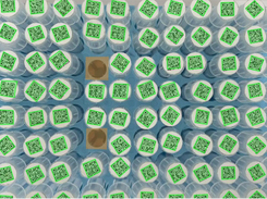 Scan 100+ Barcodes at Near 100% Read Rate
