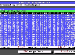 This safety feature lets you examine data stored on a drive before the drive gets sanitized to prevent selecting the wrong drive for sanitization.