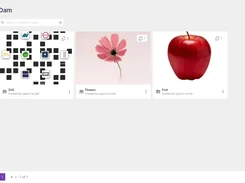 Ecollat DAM Collection page showing collection cards for SVG, Flowers, and Fruit, with image previews.